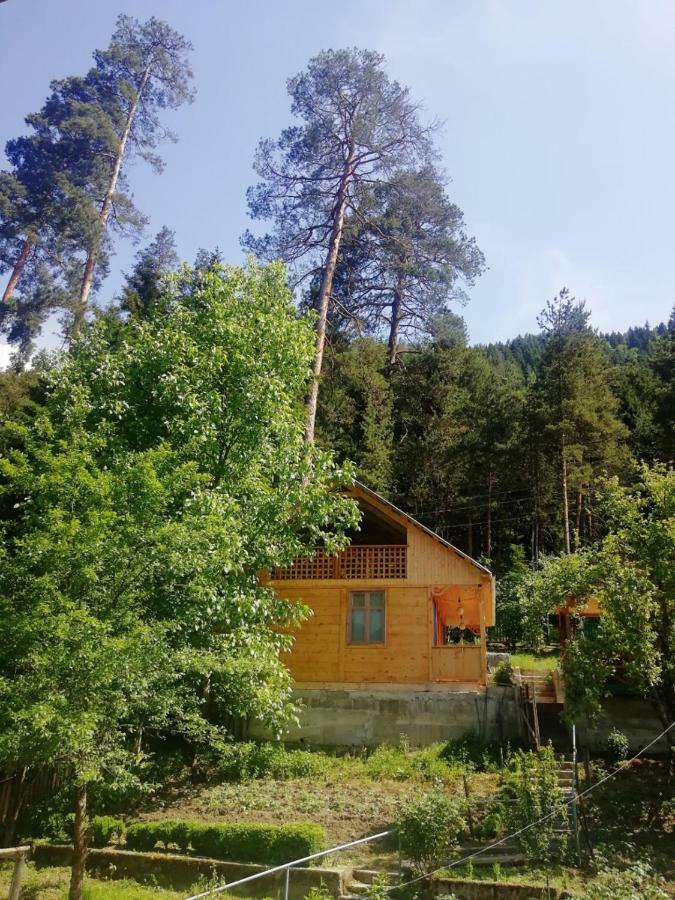 Guest House Ilia Боржоми Екстериор снимка