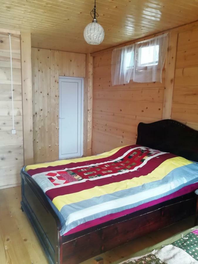 Guest House Ilia Боржоми Екстериор снимка